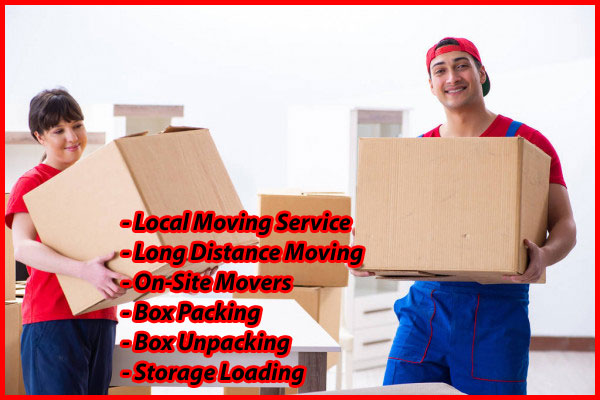 Packers And Movers Noida Sector 140